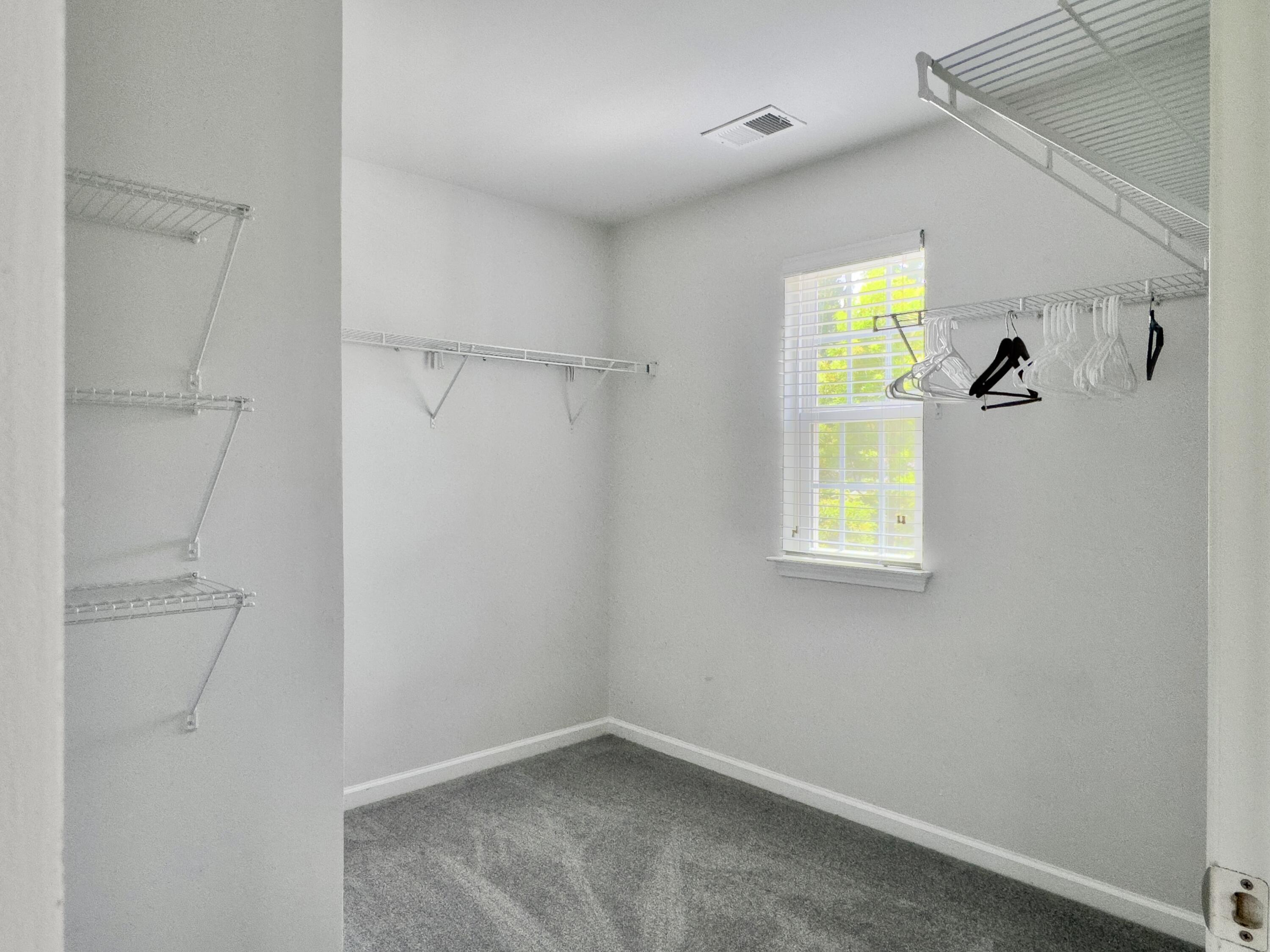 9804 Seed Street Ladson, SC 29456 - Photo 16 of 26 Primary Closet