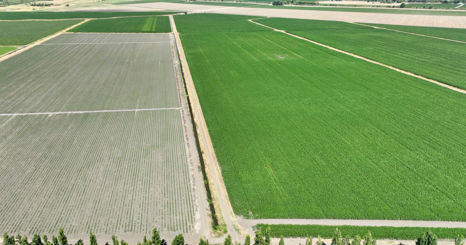 0 Tyler Island Road Walnut Grove, CA 95641 - Photo 36 of 39 a view of a yard