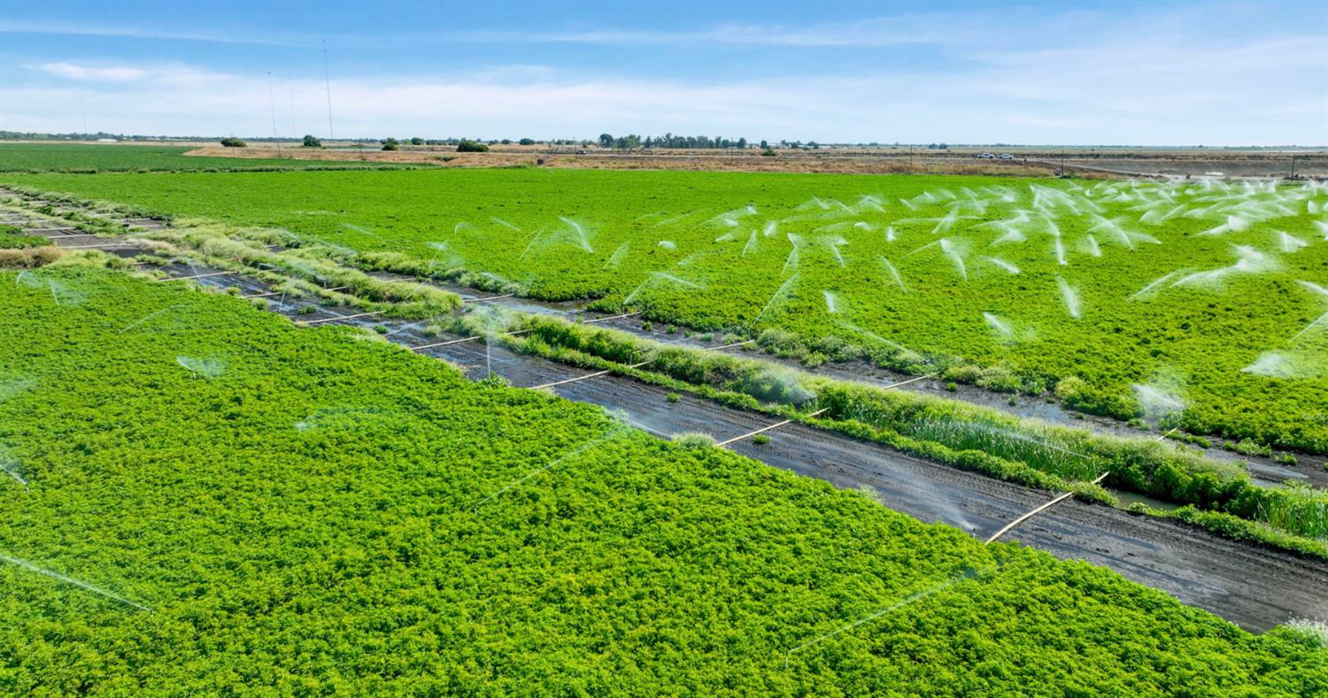 0 Tyler Island Road Walnut Grove, CA 95641 - Photo 10 of 39 a view of a lush green space with sea