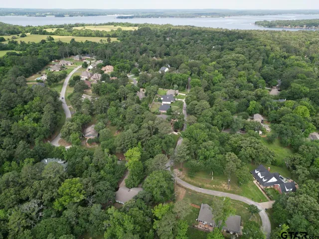 an aerial view of residential houses with outdoor space and trees