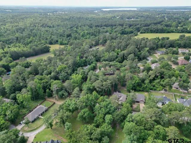an aerial view of forest