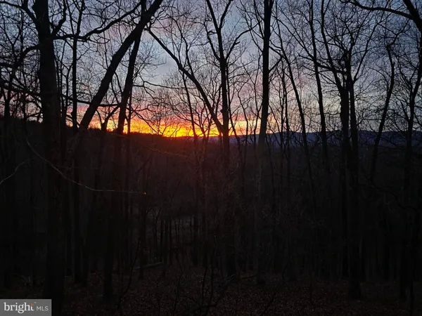 a view of outdoor space with lots of trees