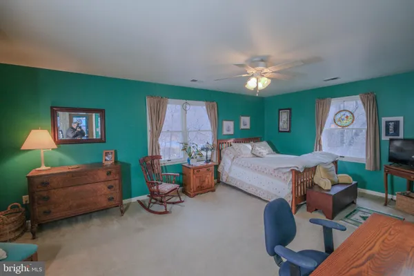 a view of house with a large space and a large tree