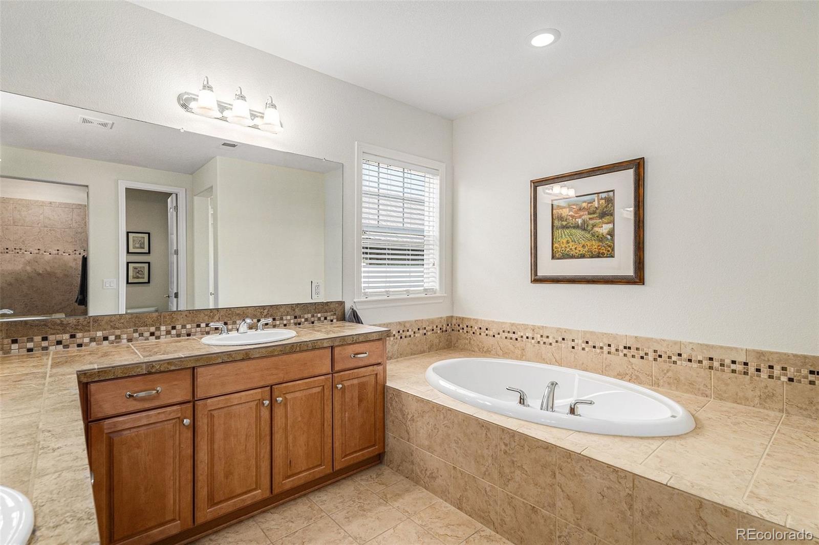 10869 Valleybrook Circle Highlands Ranch, CO 80130 - Photo 26 of 46 a bathroom with a granite countertop sink a large mirror and a bathtub