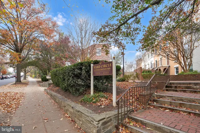 a view of a bench in a backyard