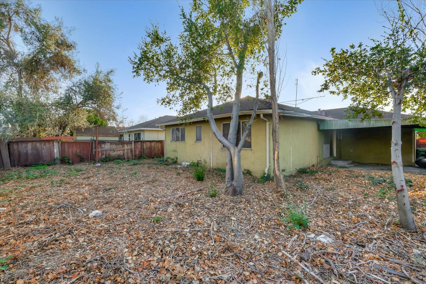 20948 Ashfield Avenue Castro Valley, CA 94546 - Photo 8 of 8 a view of a house with a yard and large tree