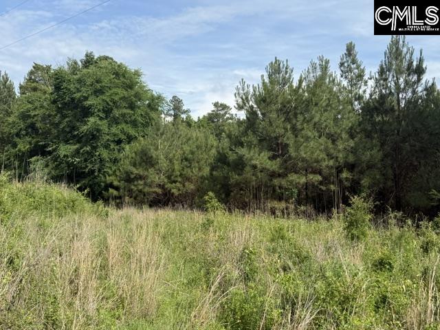 0 Old Jolleystreet Road Prosperity, SC 29127 - Photo 5 of 5