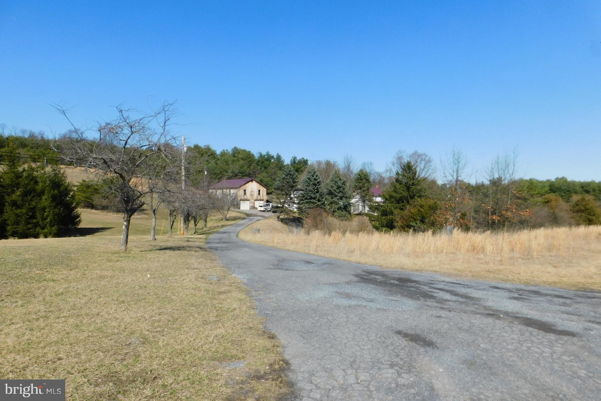 290 Howards Chapel Road Winchester, VA 22603 - Photo 2 of 30 Driveway