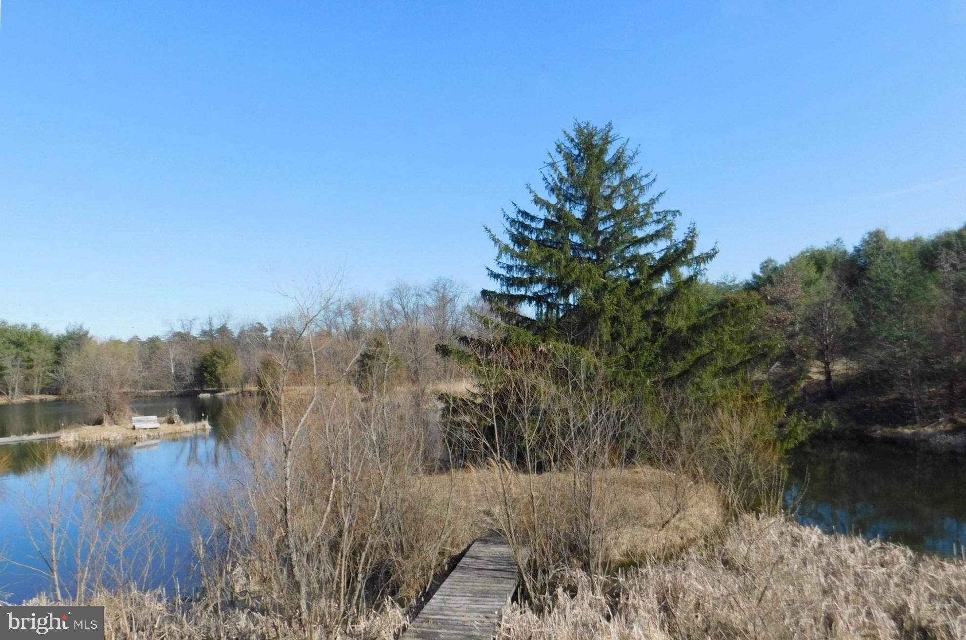 290 Howards Chapel Road Winchester, VA 22603 - Photo 29 of 30 Island #2