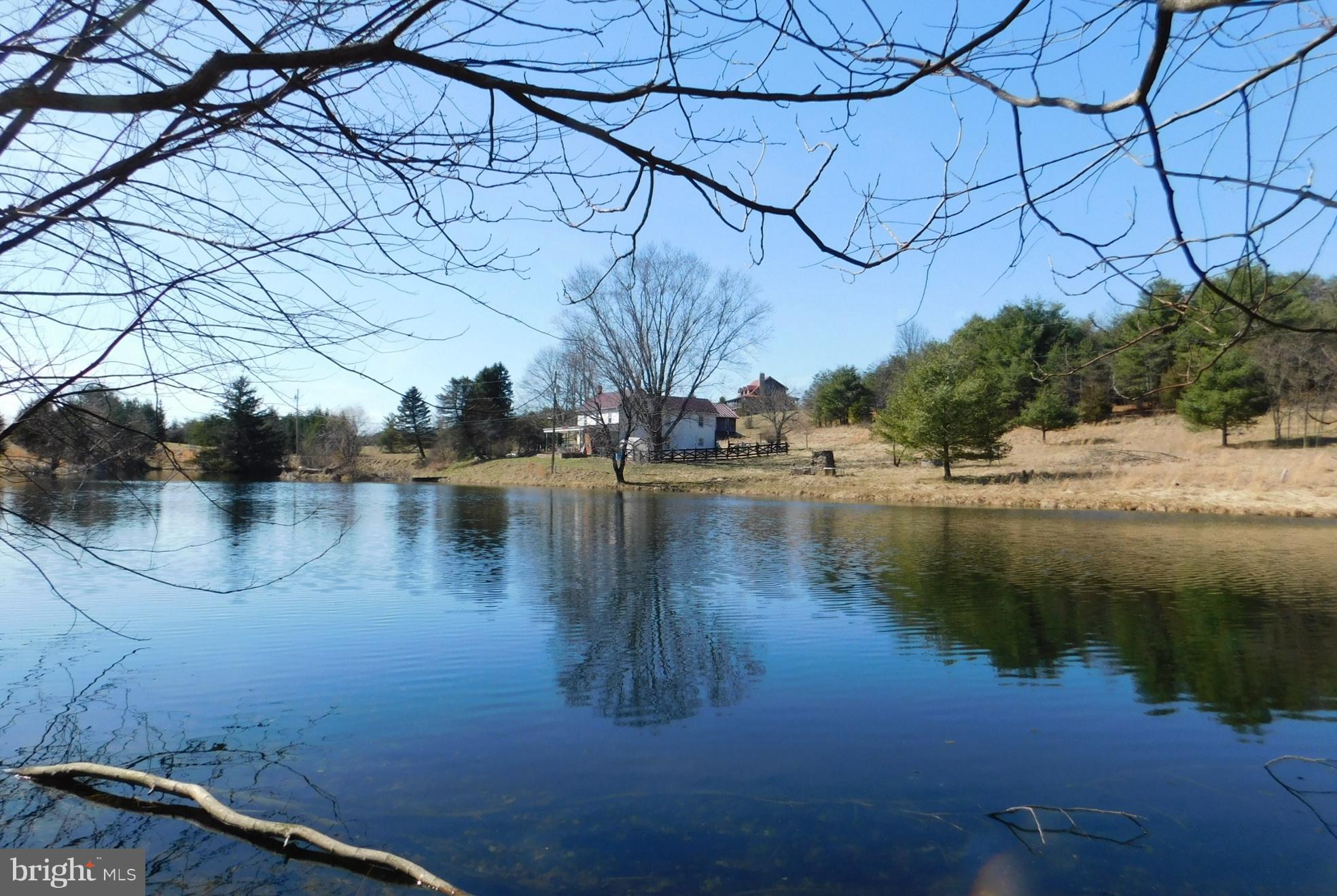 290 Howards Chapel Road Winchester, VA 22603 - Photo 30 of 30 Large Pond