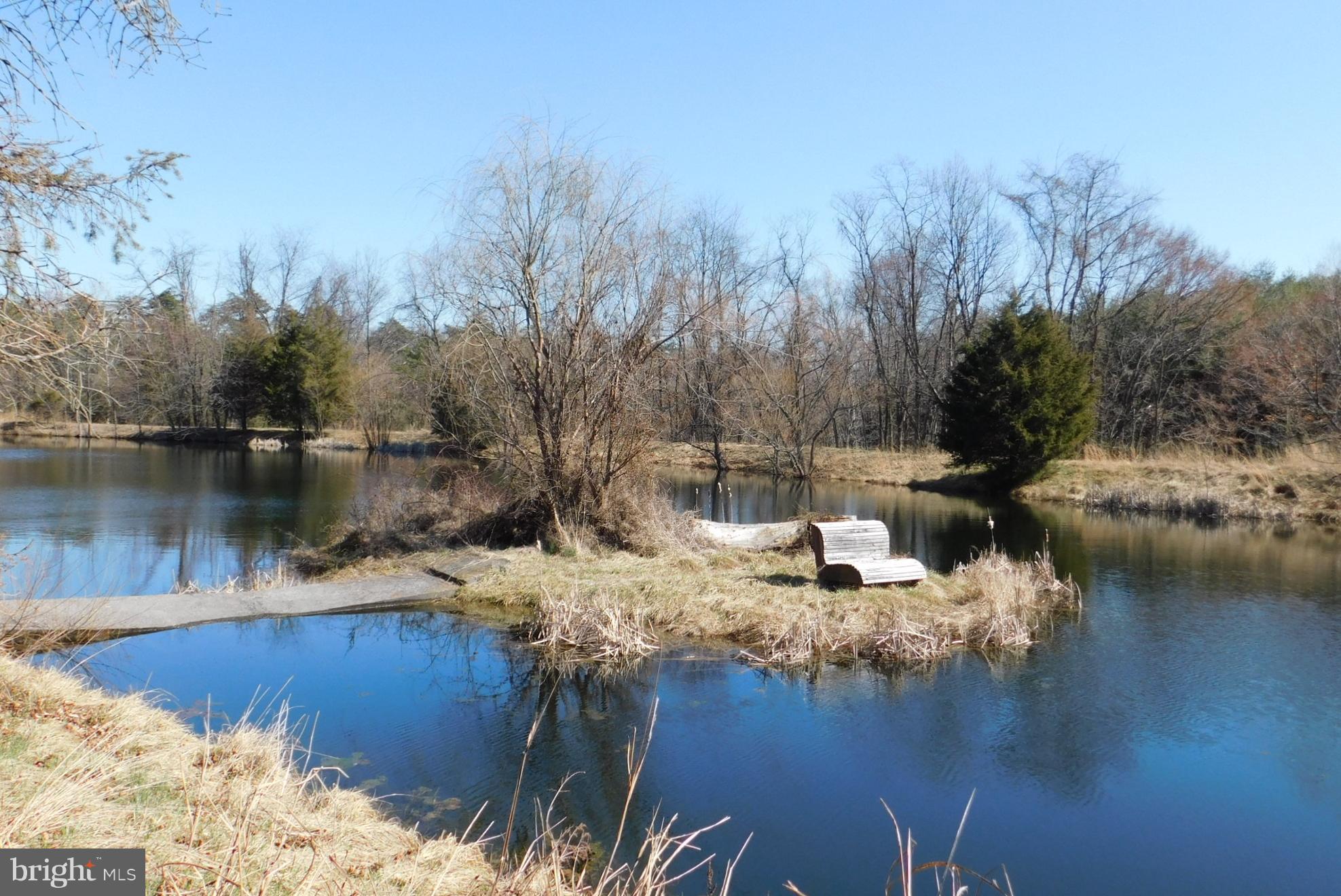 290 Howards Chapel Road Winchester, VA 22603 - Photo 8 of 30 Pond with Island