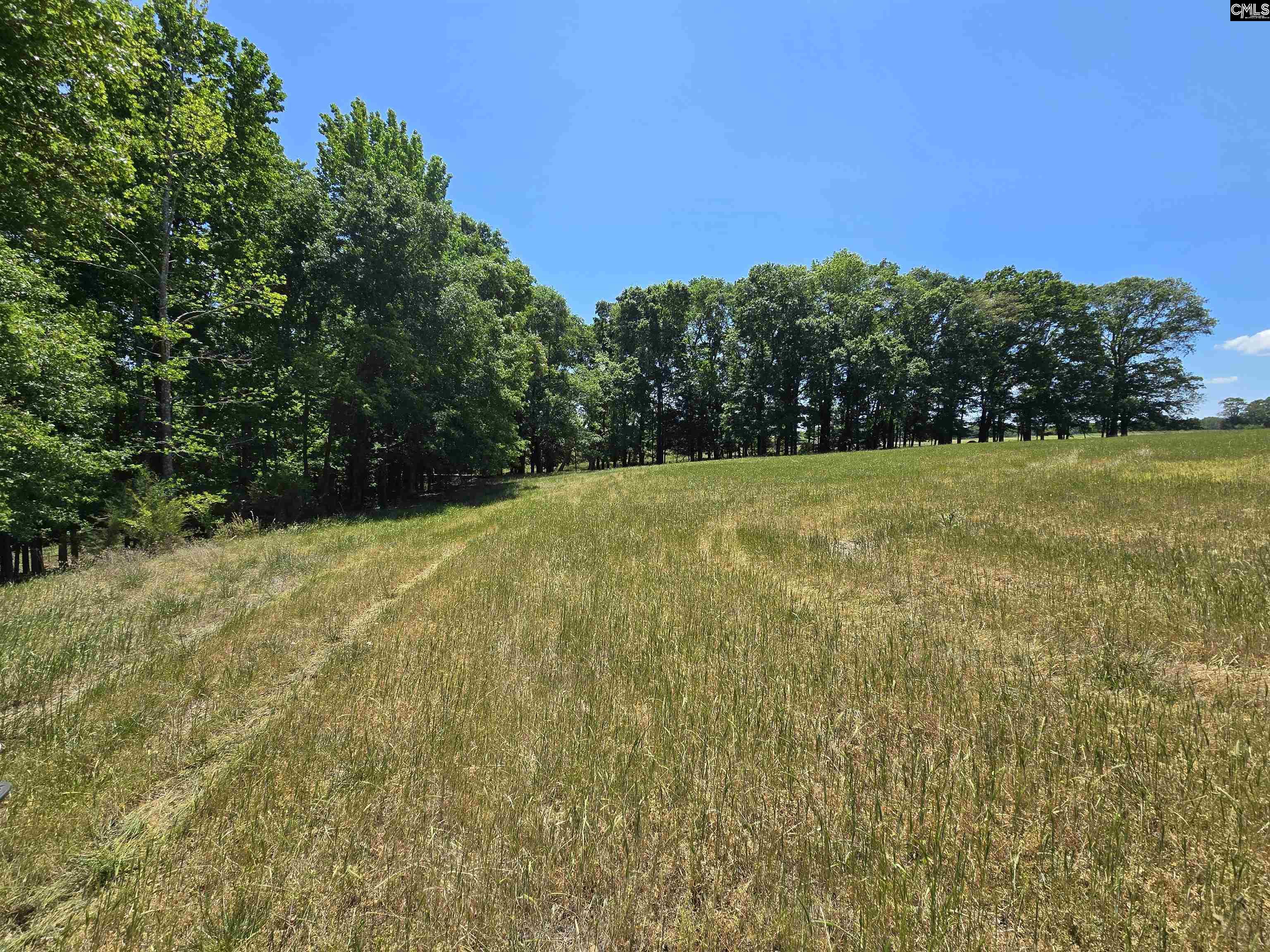 542 Pea Ridge Highway Jonesville, SC 29353 - Photo 45 of 72