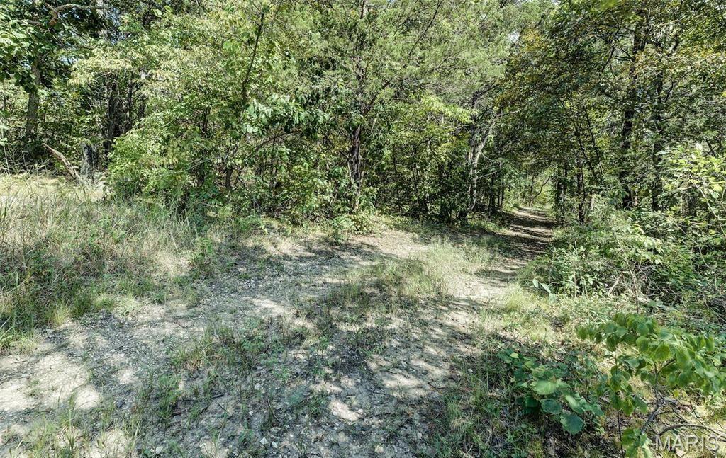 43 Acres /- Ridge Road Dittmer, MO 63023 - Photo 9 of 13 Gallery Image 9
