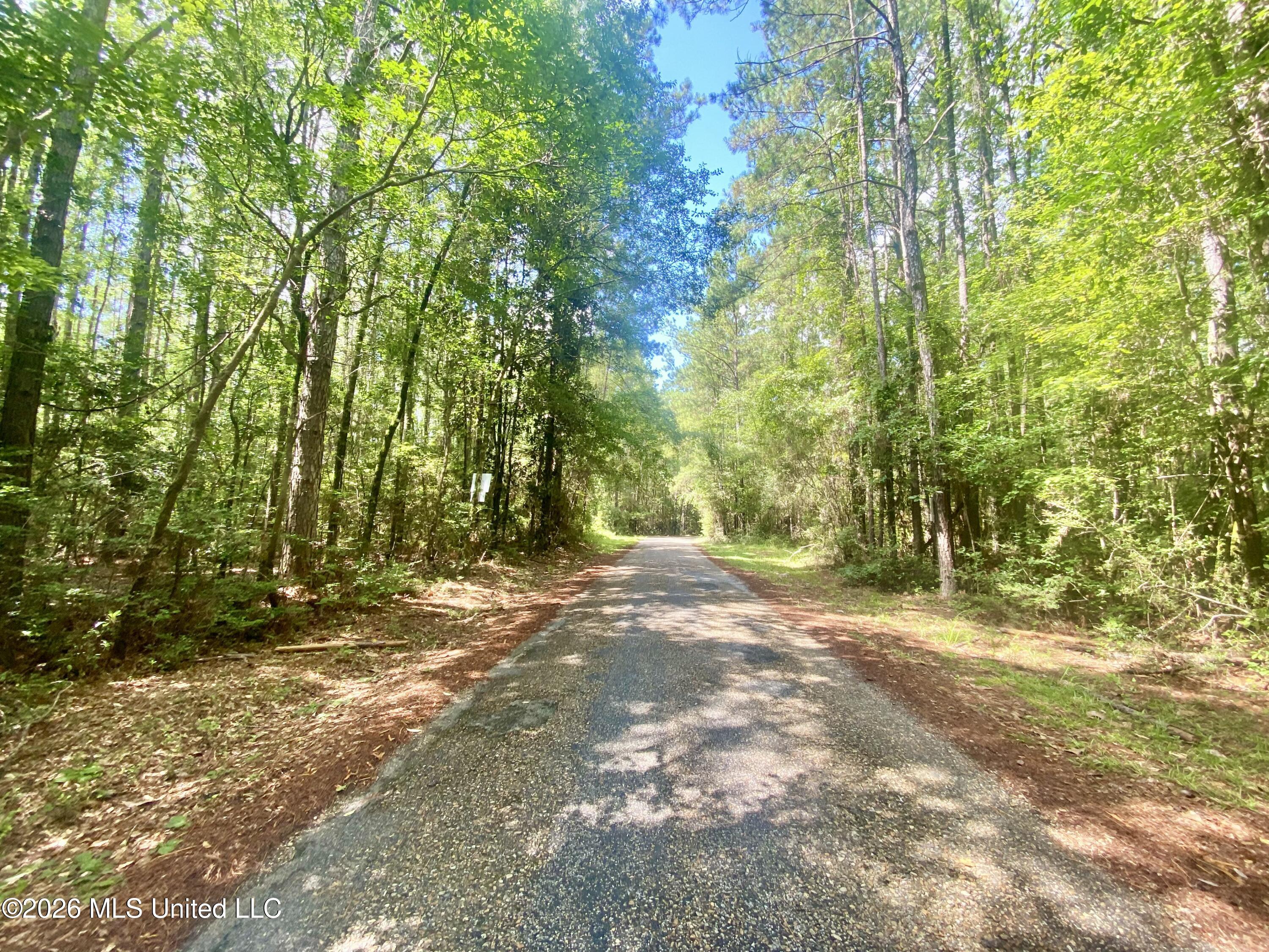 ### Kirby Creek Road Wiggins, MS 39577 - Photo 1 of 3 IMG_3179 2