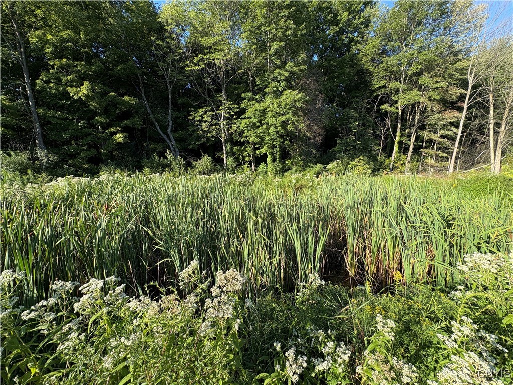 642 Towne Road Pulaski, NY 13142 - Photo 17 of 19