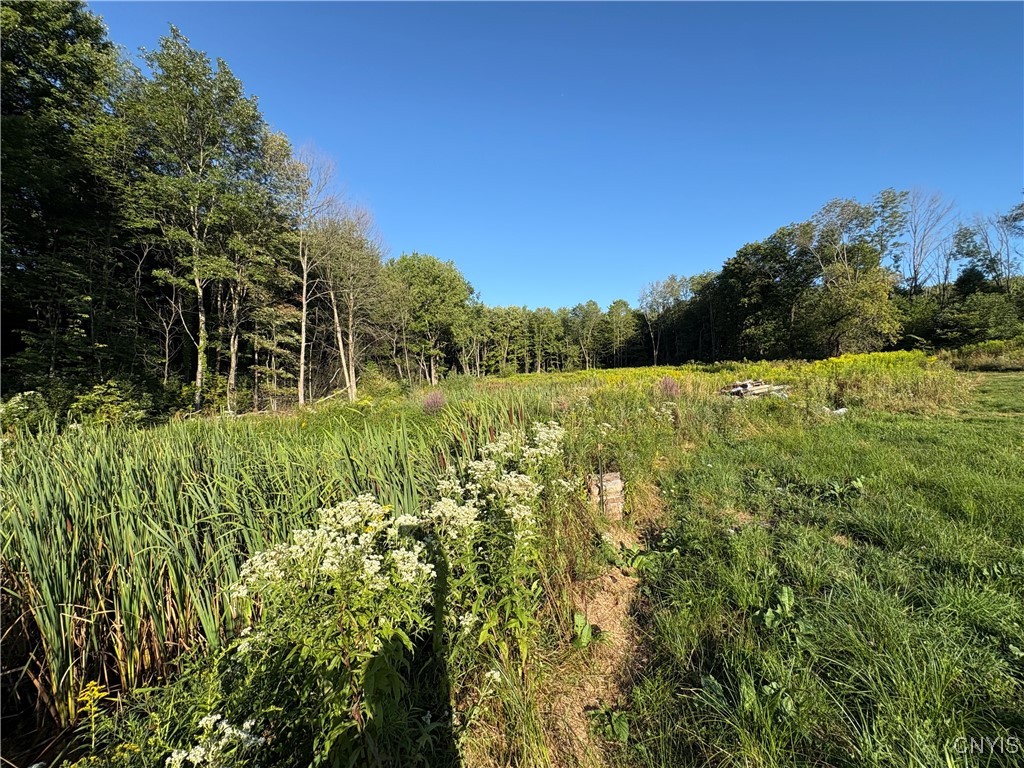 642 Towne Road Pulaski, NY 13142 - Photo 18 of 19