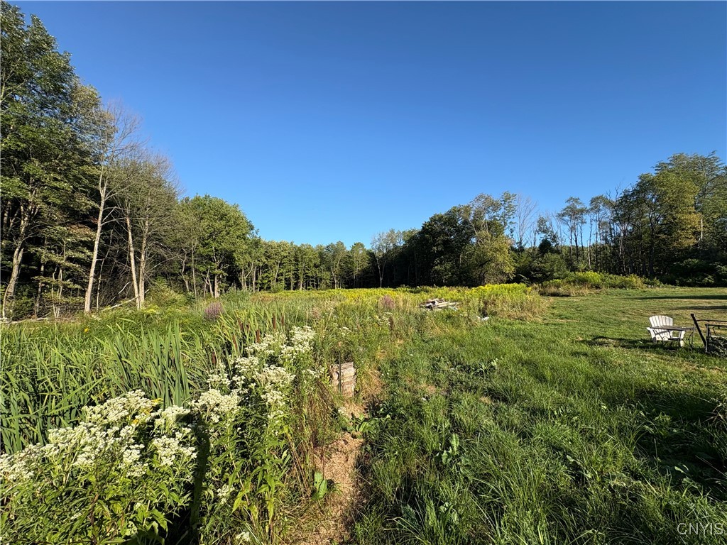642 Towne Road Pulaski, NY 13142 - Photo 19 of 19