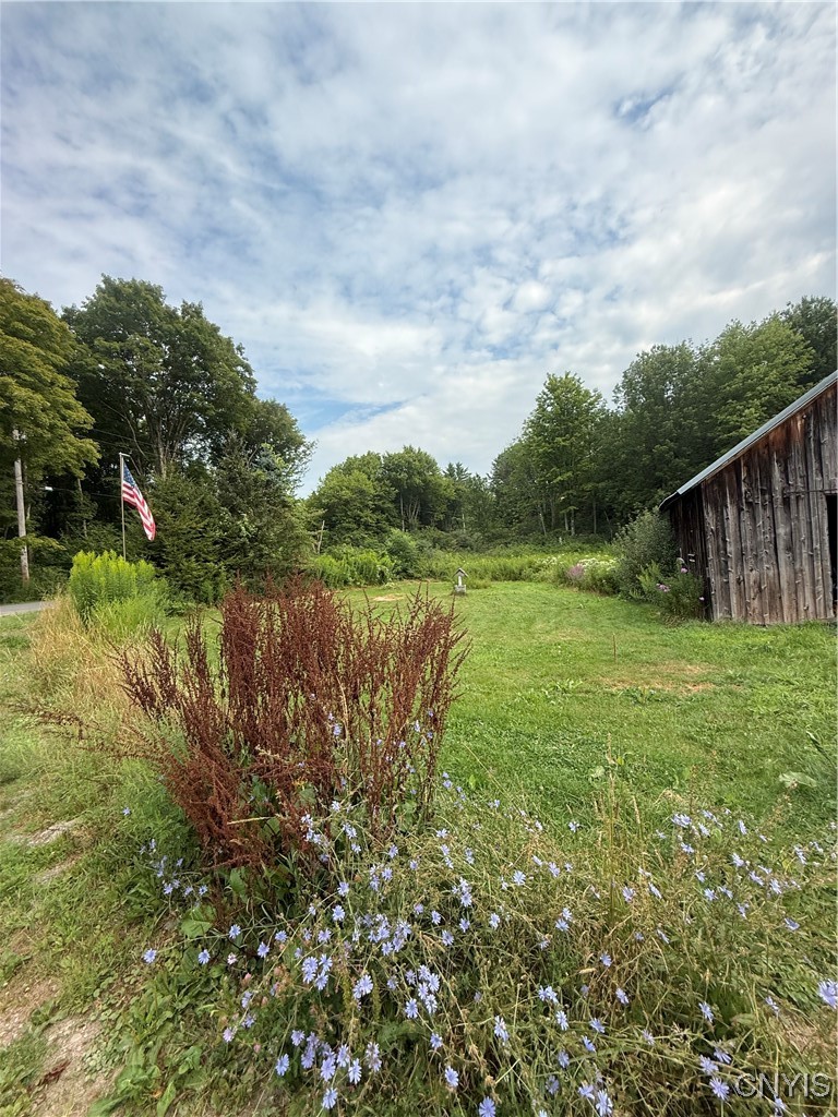 642 Towne Road Pulaski, NY 13142 - Photo 5 of 19