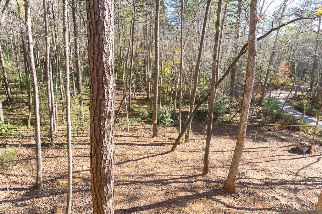 60 Deer Vly Lane Murphy, NC 28906 - Photo 26 of 37