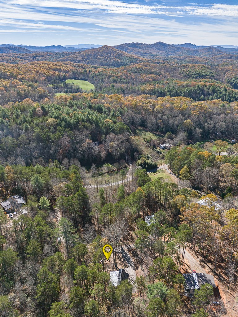 60 Deer Vly Lane Murphy, NC 28906 - Photo 34 of 37