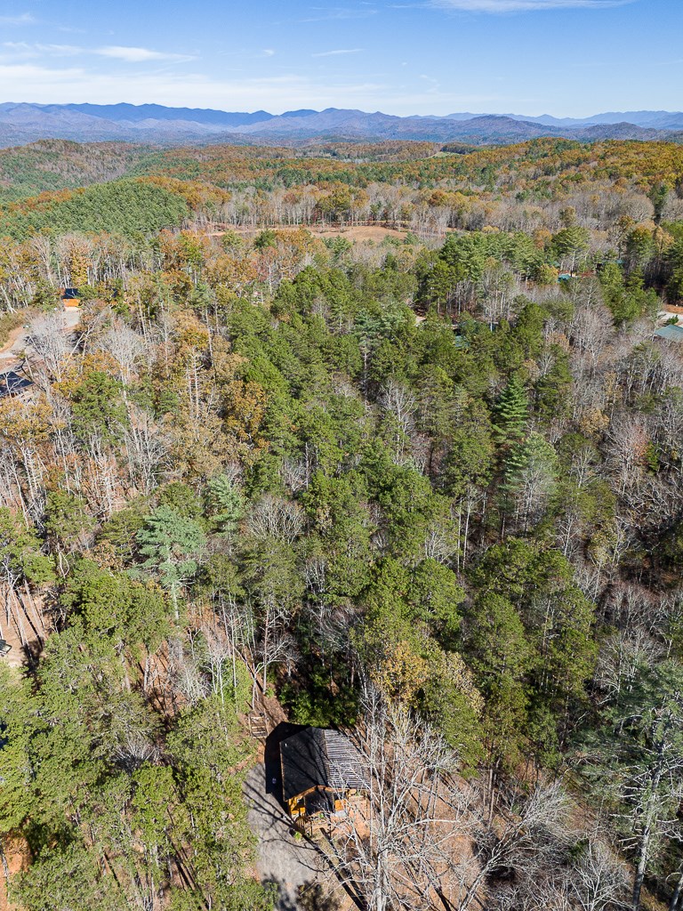 60 Deer Vly Lane Murphy, NC 28906 - Photo 36 of 37