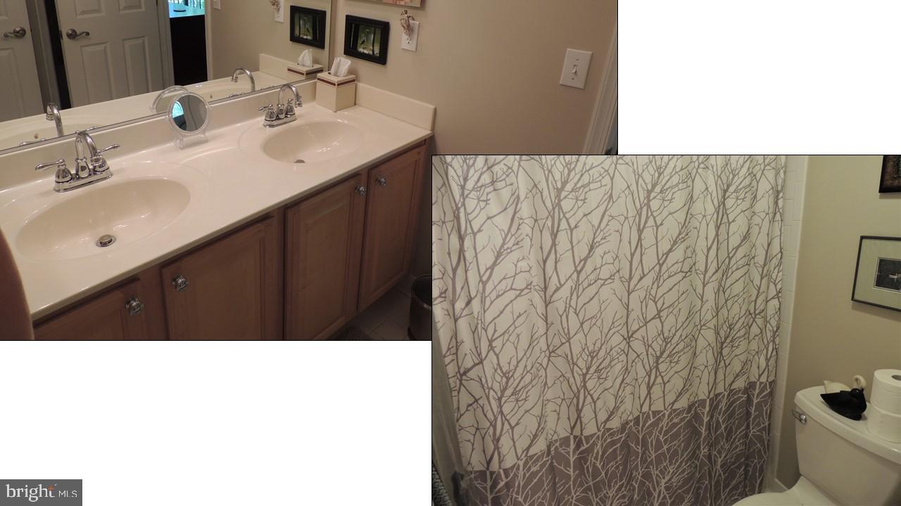 14174 Foxhall Road, Unit 12 Dowell, MD 20629 - Photo 27 of 40 Jack and Jill bath