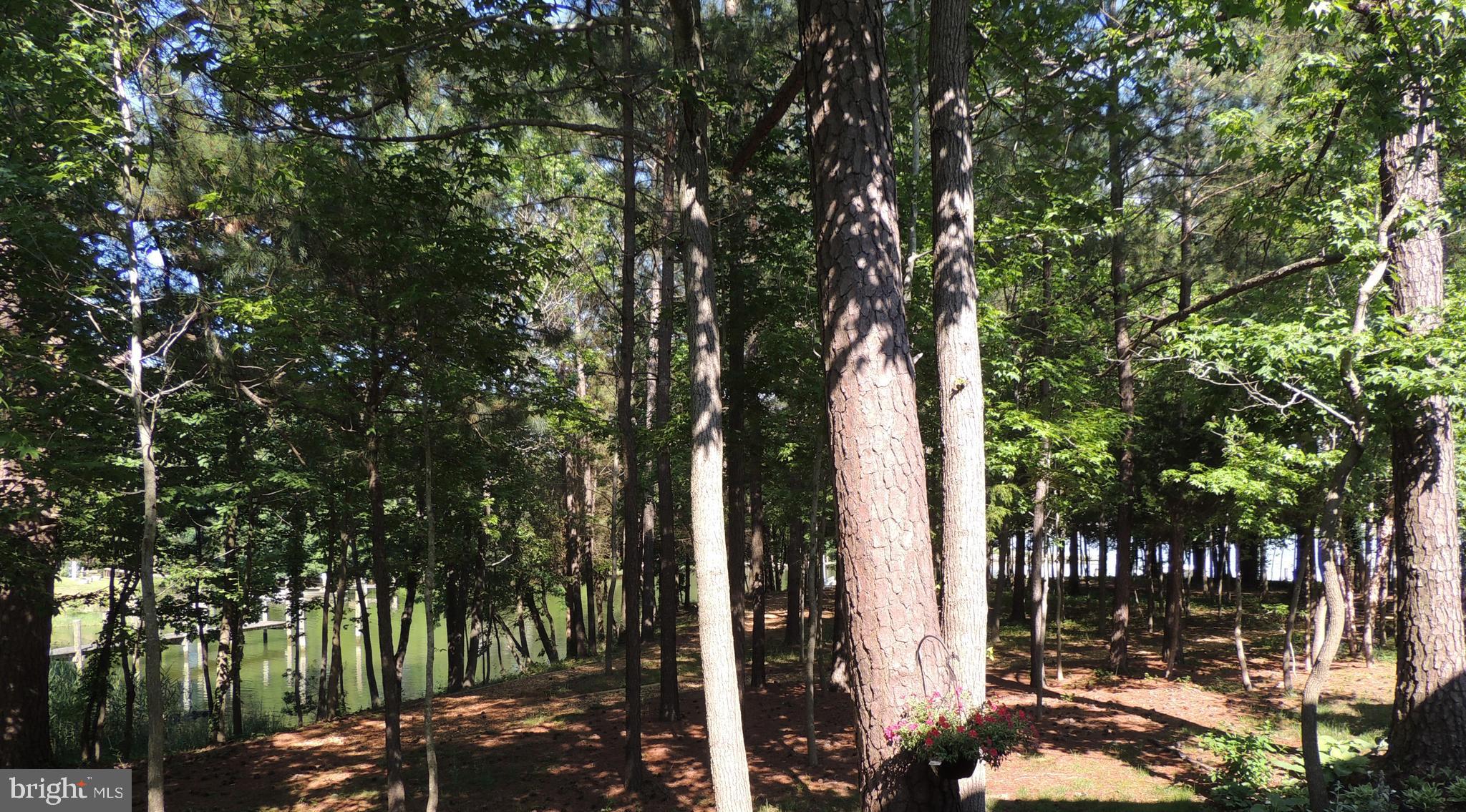 14174 Foxhall Road, Unit 12 Dowell, MD 20629 - Photo 34 of 40 Water view from rear of the townhouse