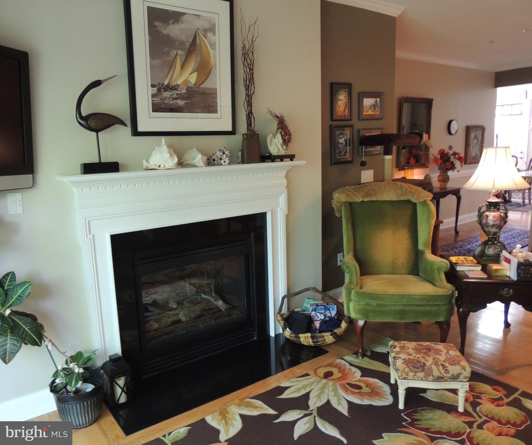 14174 Foxhall Road, Unit 12 Dowell, MD 20629 - Photo 5 of 40 Dual sided gas fireplace