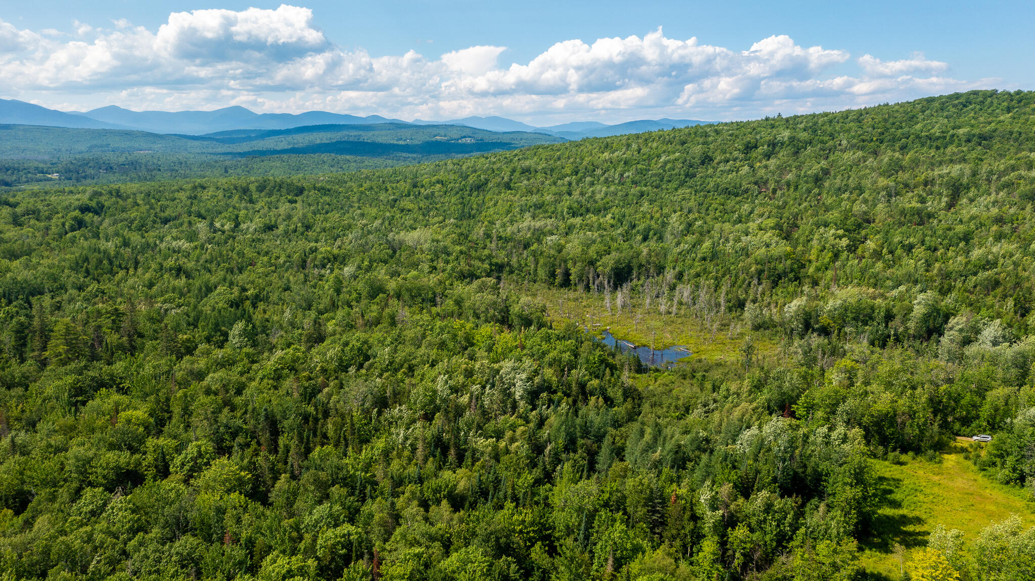 0 Miller Road New Vineyard, ME 04956 - Photo 36 of 48 MNewportland-29