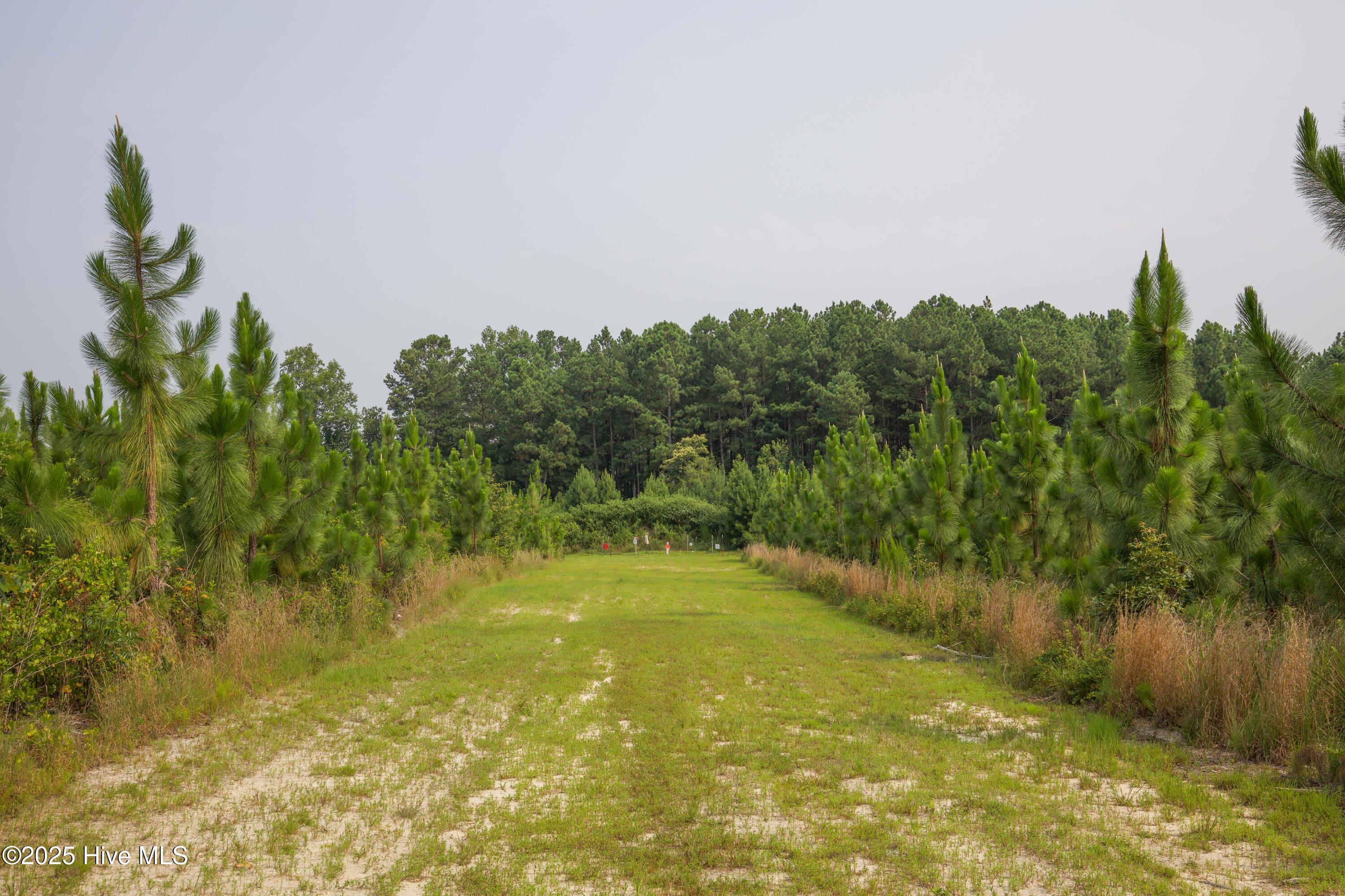1415 McDuffie Road Biscoe, NC 27209 - Photo 24 of 62 Firing Range