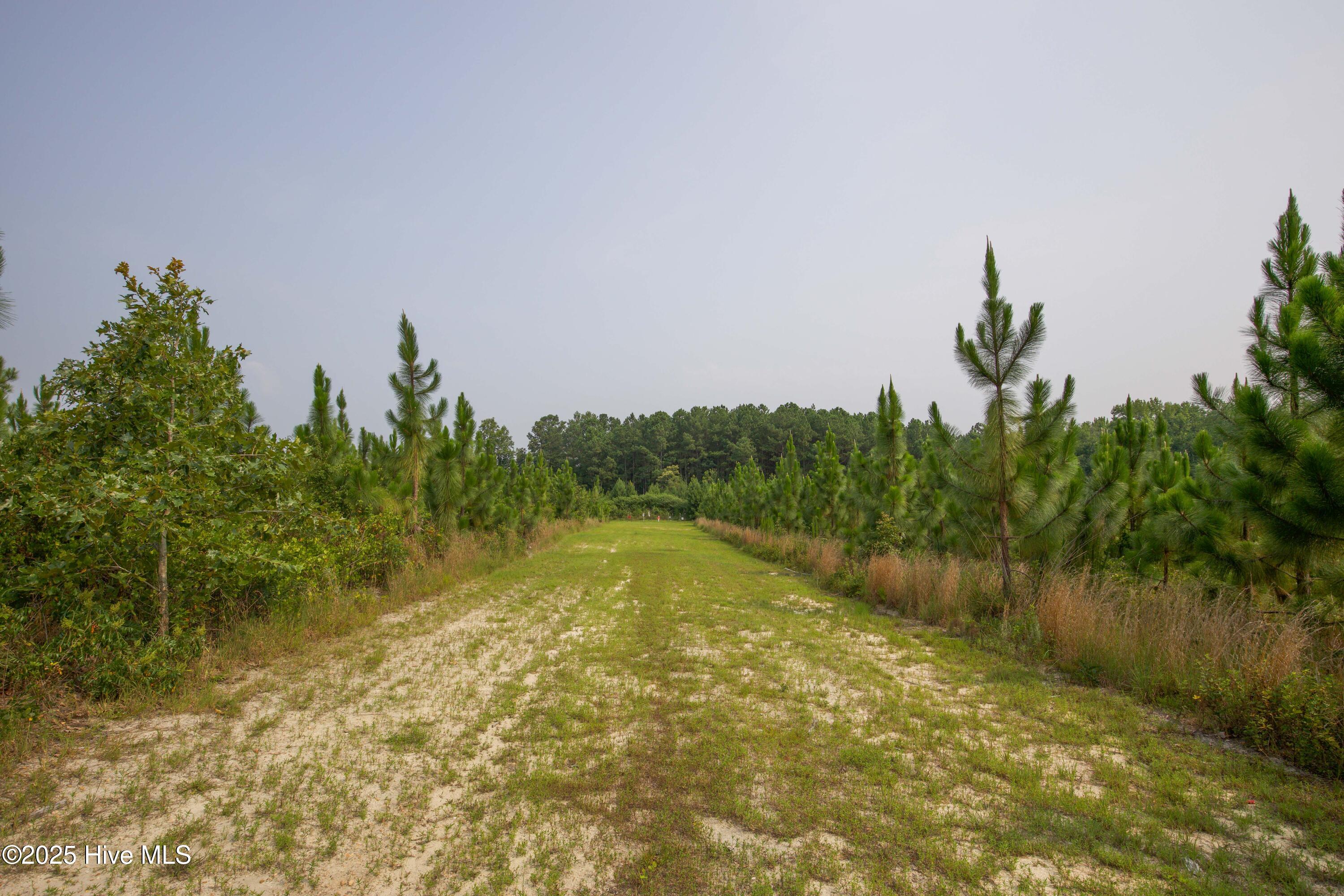 1415 McDuffie Road Biscoe, NC 27209 - Photo 25 of 62 Firing Range
