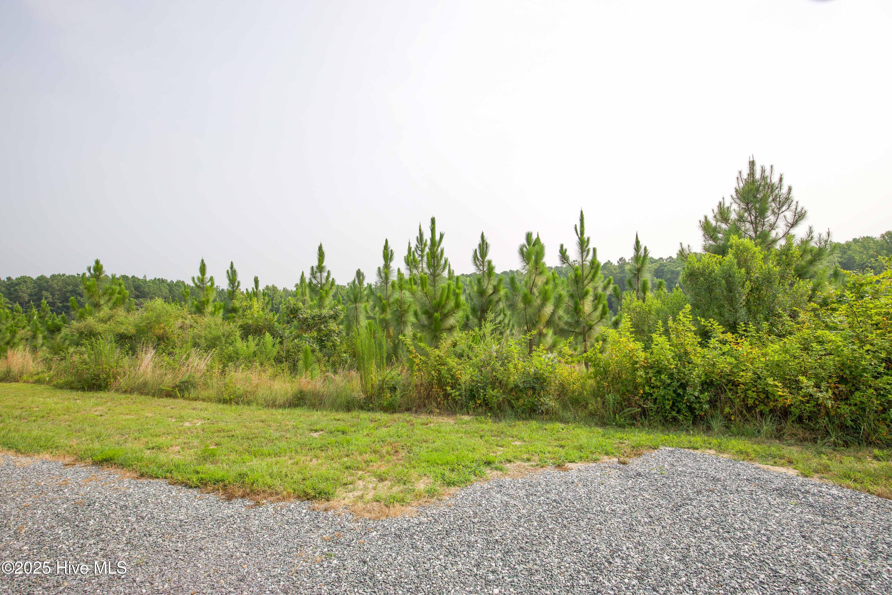 1415 McDuffie Road Biscoe, NC 27209 - Photo 60 of 62 1415 McDuffie Rd-58