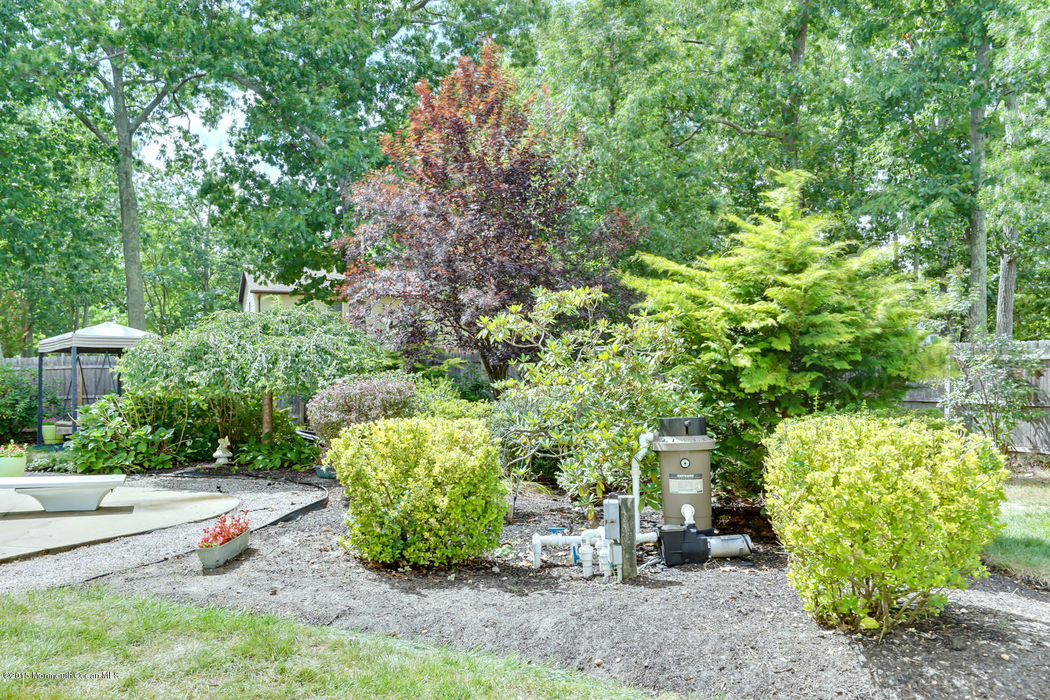 6 Hickory Hill Road Jackson, NJ 08527 - Photo 48 of 53 a view of a garden with a tree