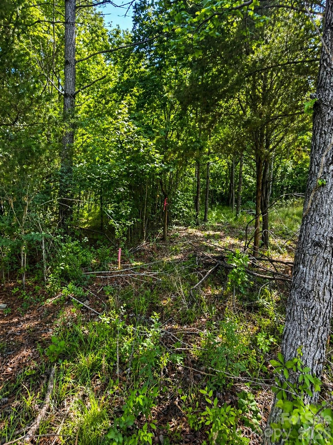 468 Porter Road Rock Hill, SC 29730 - Photo 3 of 4