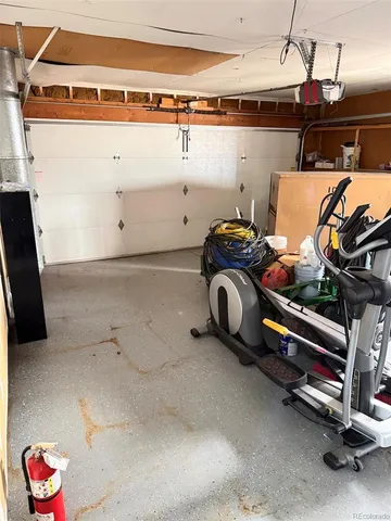 a view of a backyard with plants and large trees