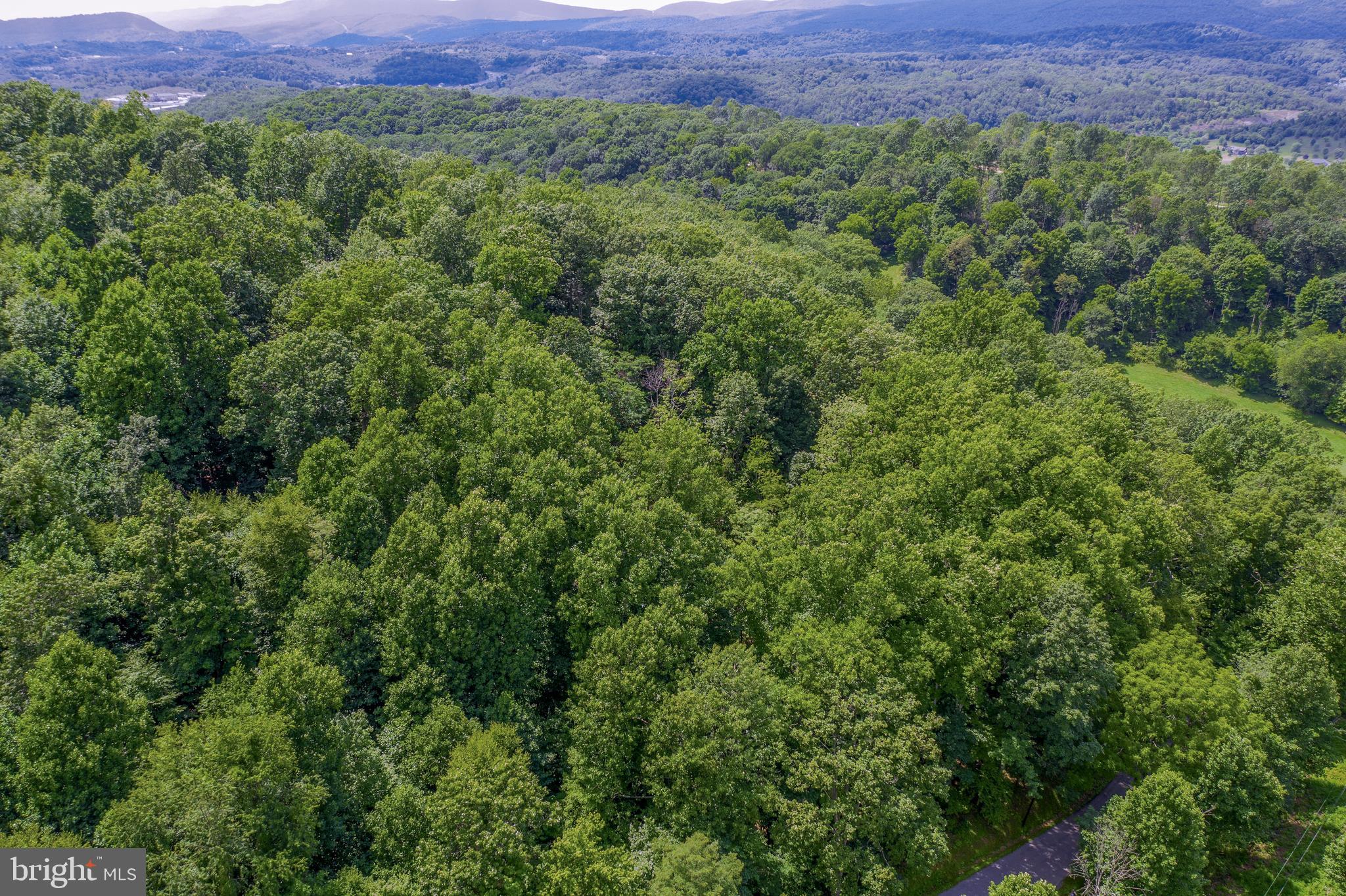 Old Hancock Road Cumberland, MD 21502 - Photo 11 of 15 a view of a lush green forest with a house in a yard