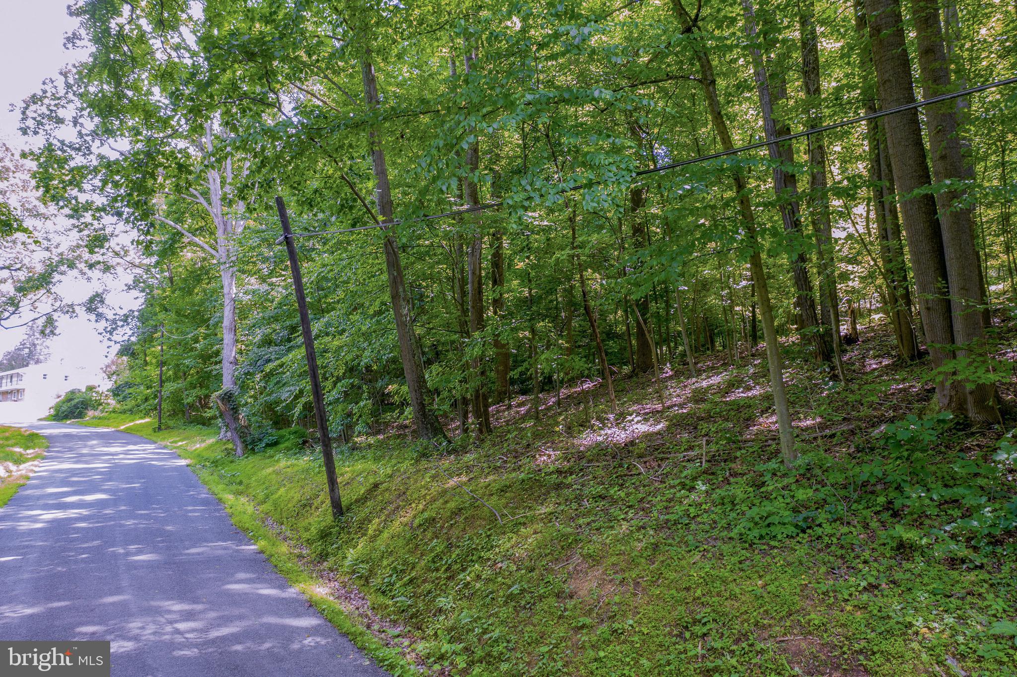 Old Hancock Road Cumberland, MD 21502 - Photo 12 of 15 a view of yard