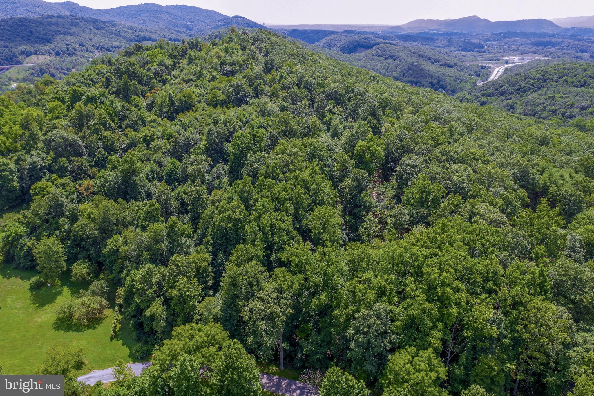 Old Hancock Road Cumberland, MD 21502 - Photo 13 of 15 a view of a lush green hillside and a houses
