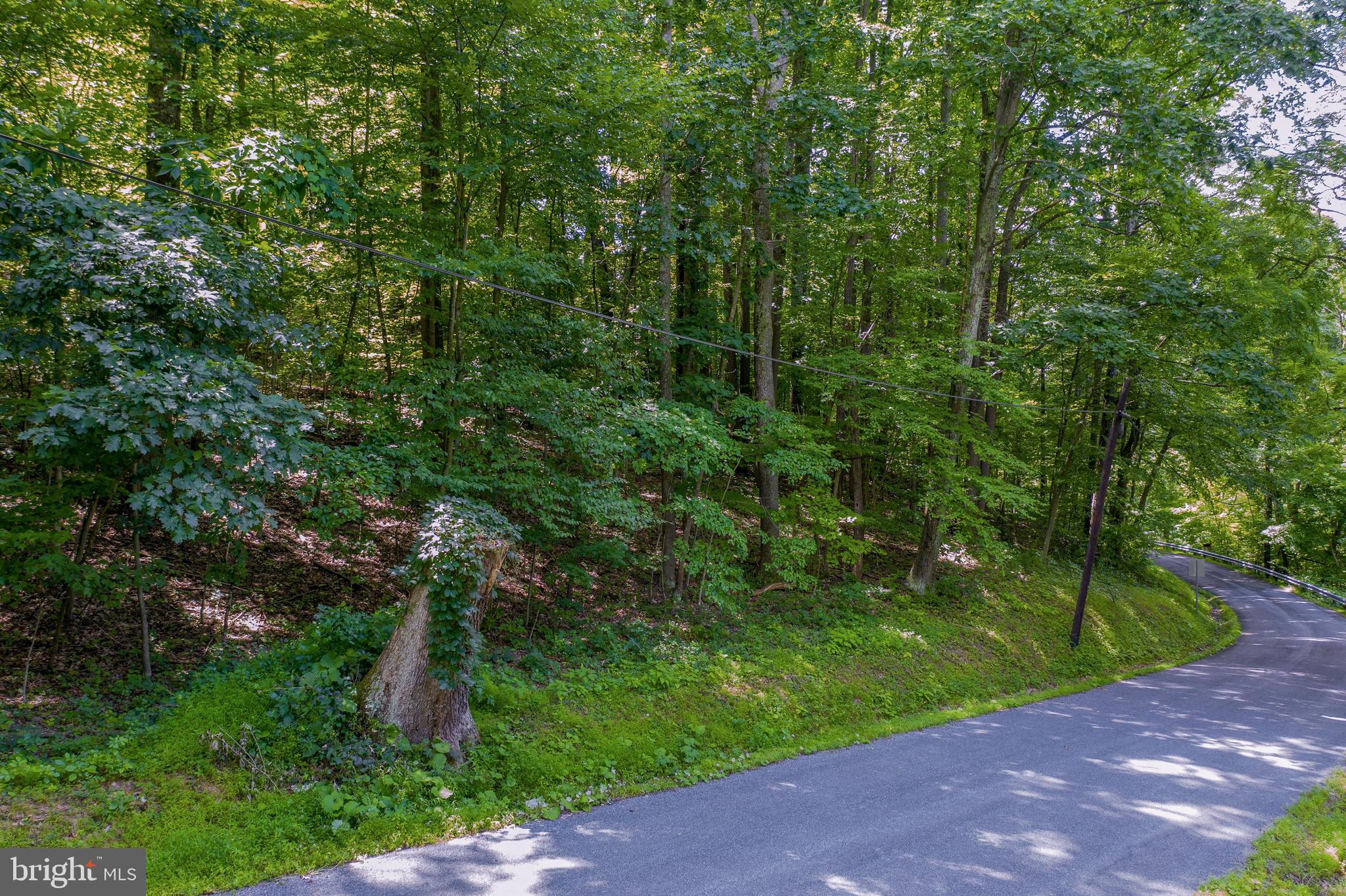 Old Hancock Road Cumberland, MD 21502 - Photo 3 of 15 a view of a yard with a trees