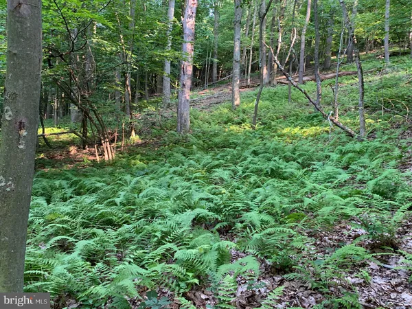 a view of yard with green space