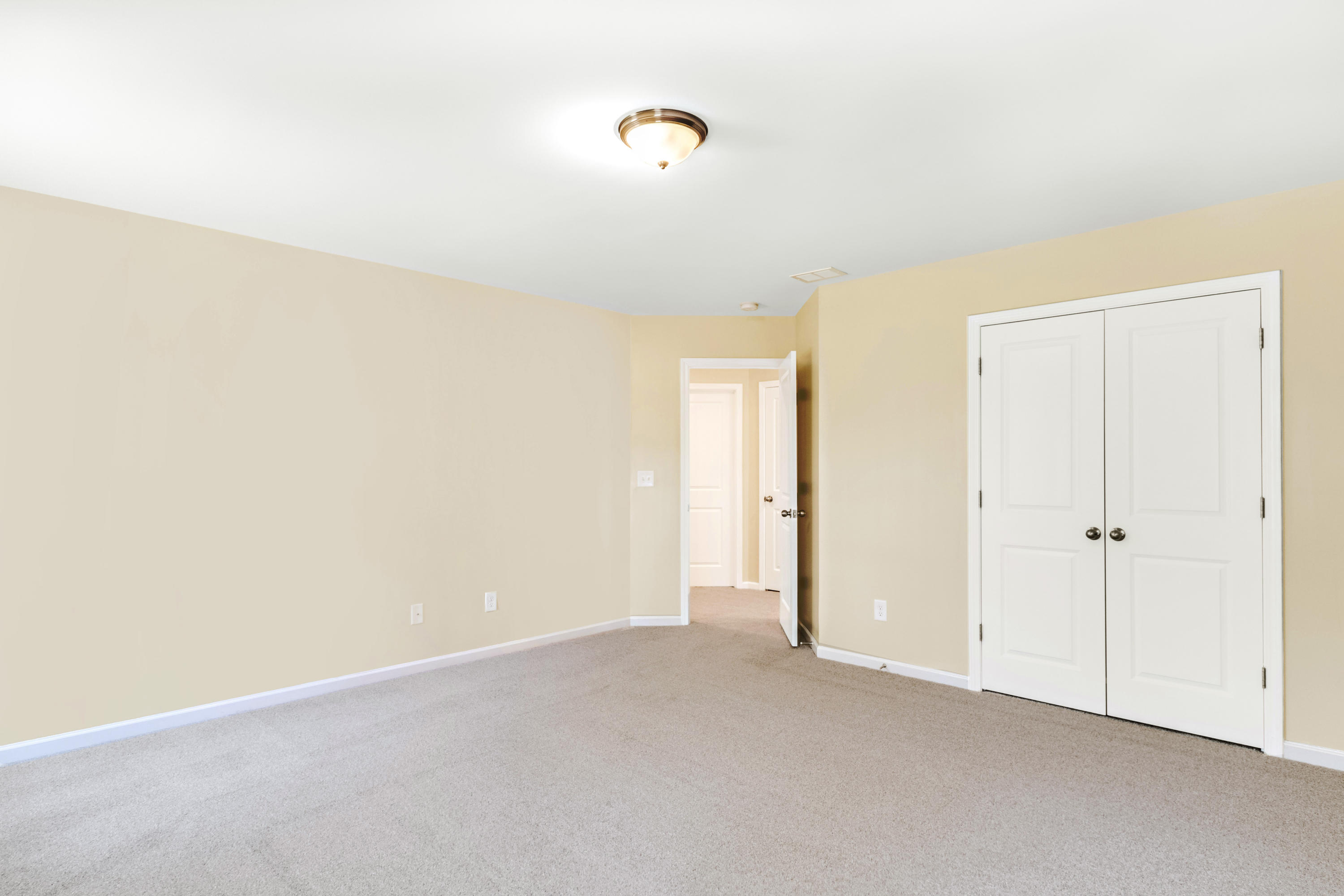 5042 White Cedar Road Ladson, SC 29456 - Photo 22 of 35 4th bedroom/Bonus Room