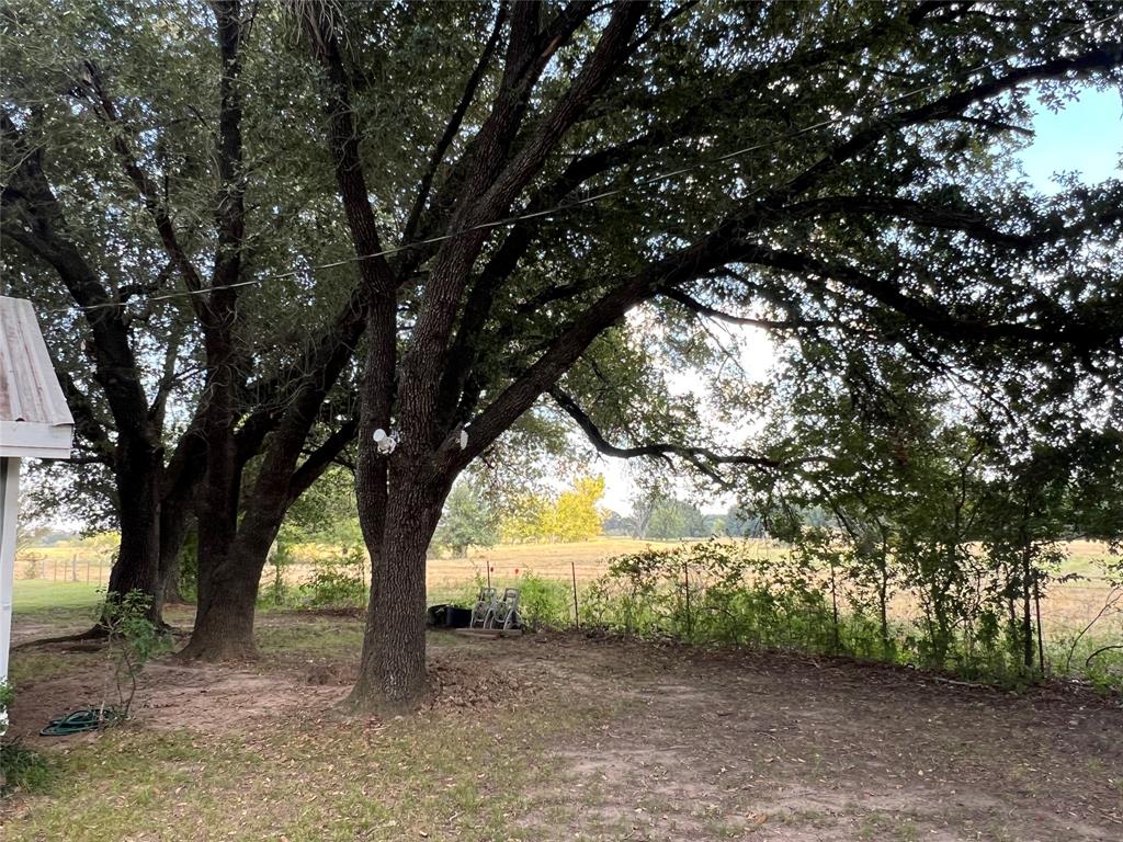 419 Limestone County Road 648, Unit LCR Thornton, TX 76687 - Photo 18 of 20 a view of outdoor space with trees