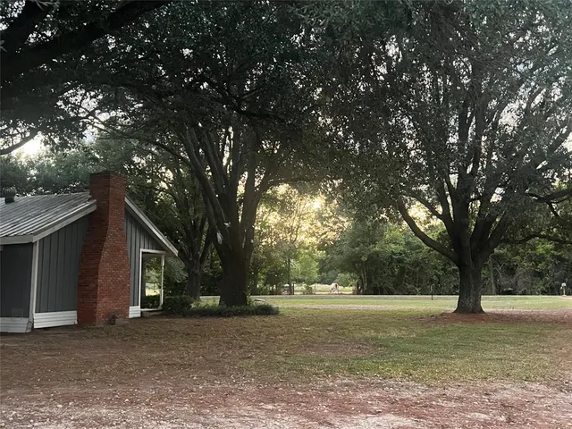 a view of large yard with large trees