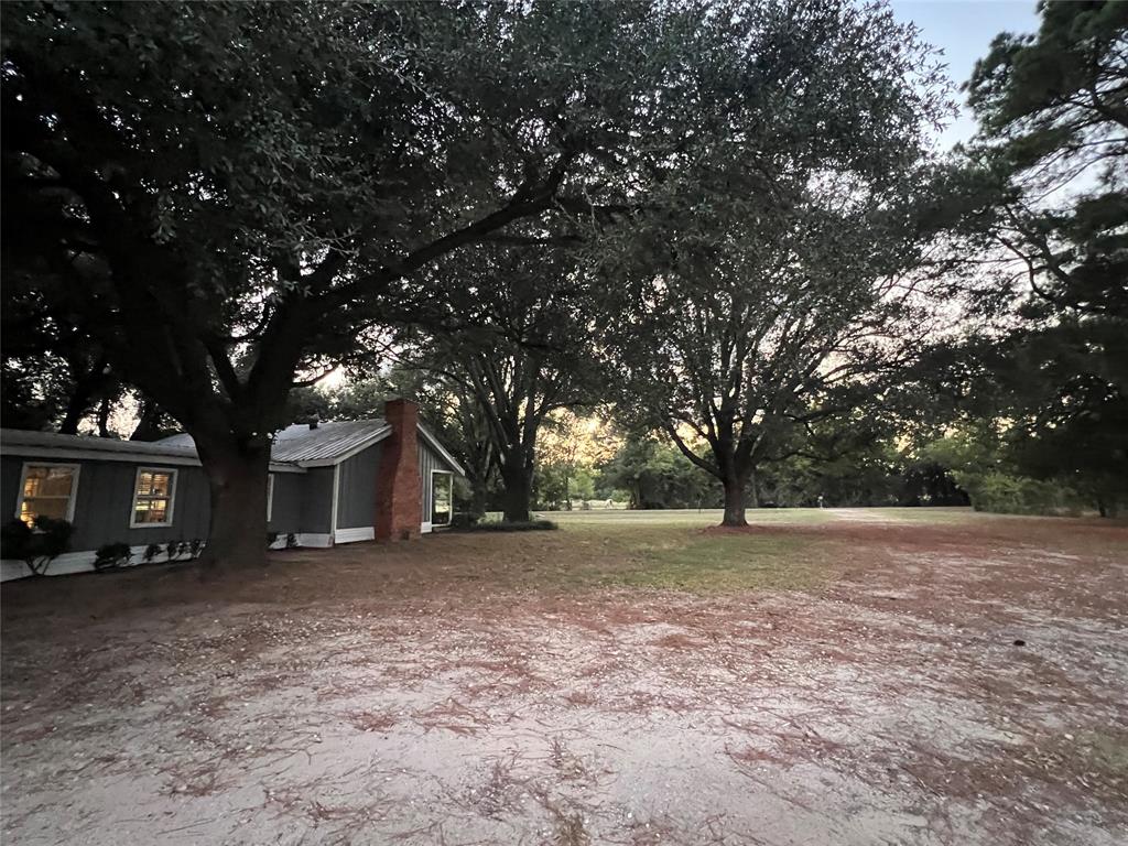 419 Limestone County Road 648, Unit LCR Thornton, TX 76687 - Photo 20 of 20 a view of large yard with large trees