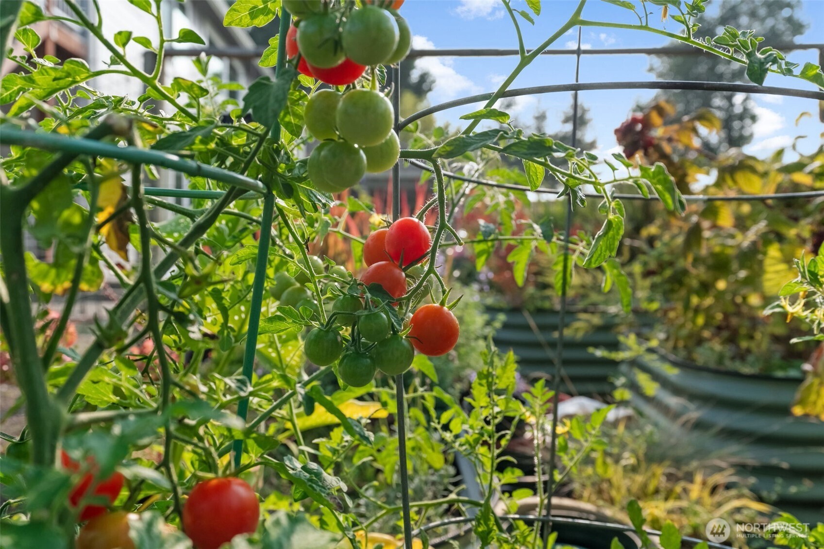 460 East Stretch Island Road South Grapeview, WA 98546 - Photo 34 of 39 a view of flowers in a garden