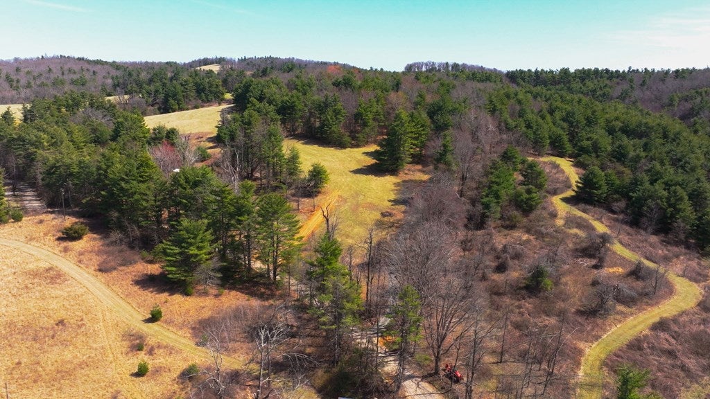 2 Graysville Road, Unit TRACT 2 Copper Hill, VA 24079 - Photo 14 of 18 Gallery Image 14