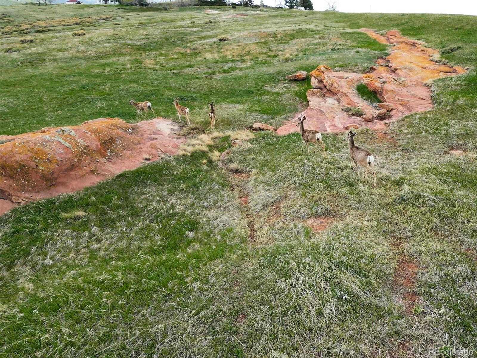 62 North Ranch Road Littleton, CO 80127 - Photo 49 of 50