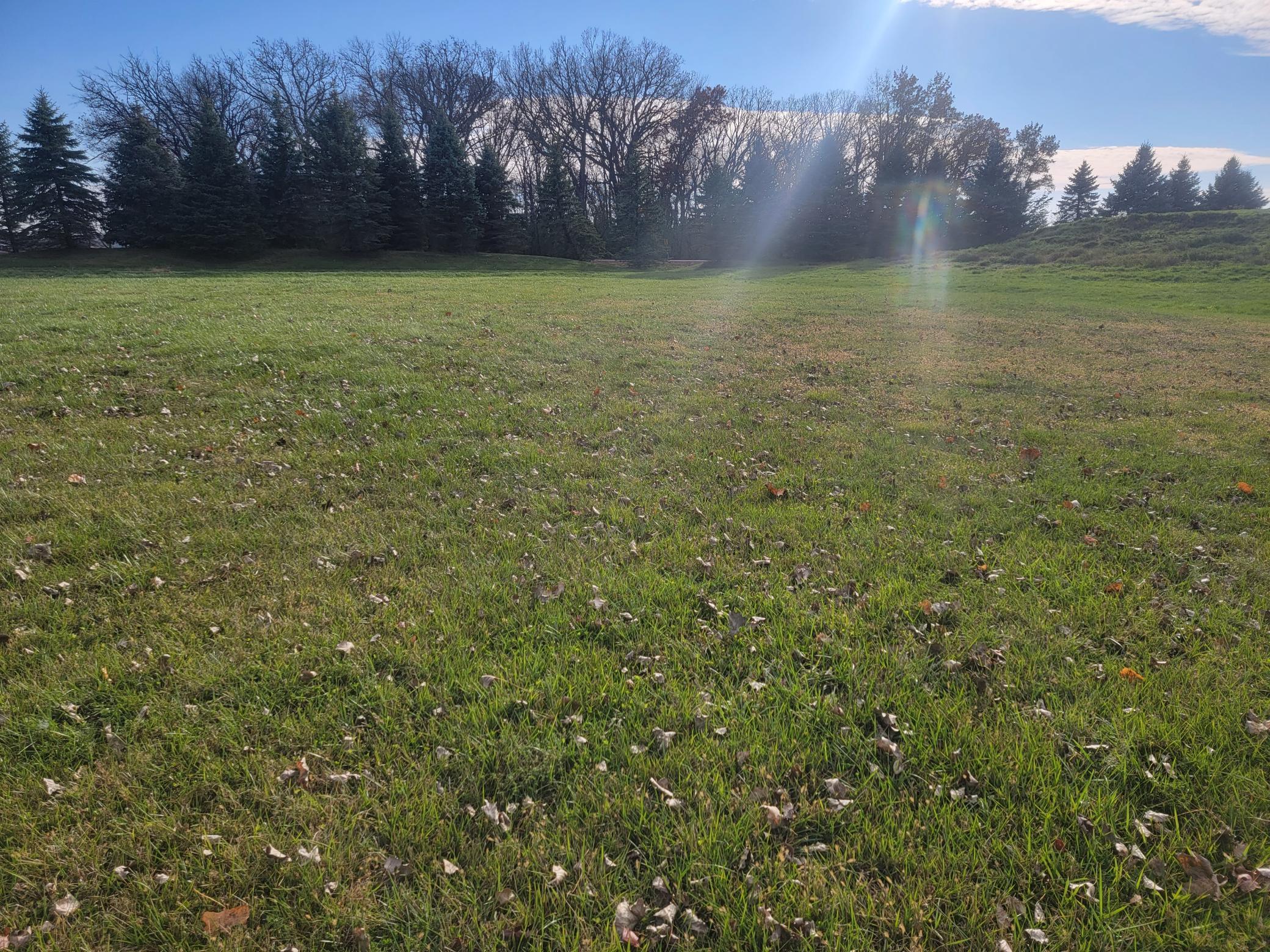 2601 8th Street Northeast Waseca, MN 56093 - Photo 7 of 10