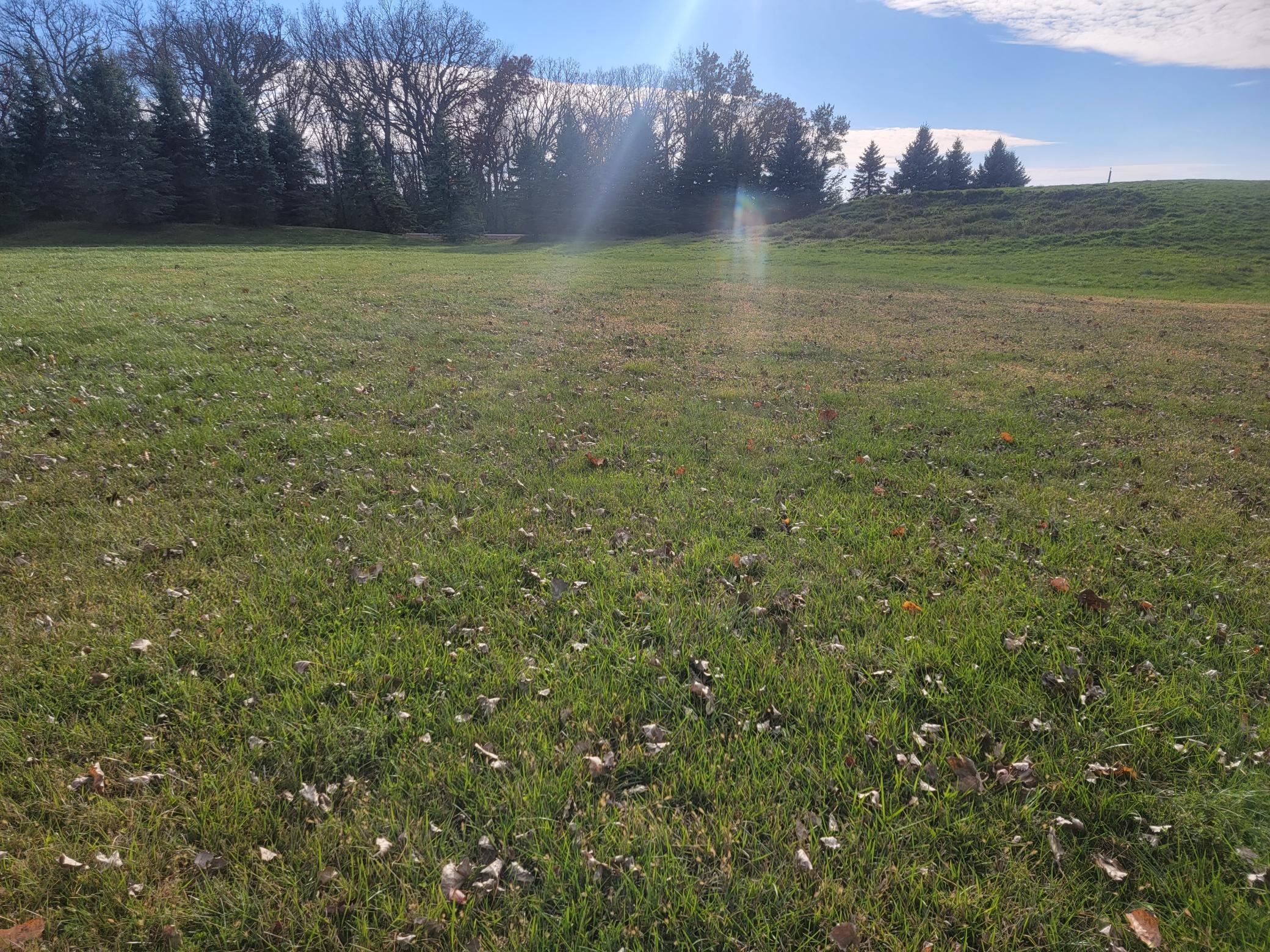 2601 8th Street Northeast Waseca, MN 56093 - Photo 8 of 10