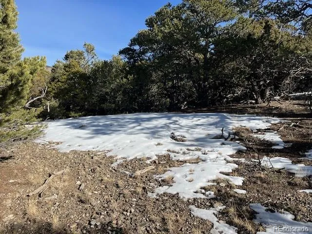 a view of a backyard of a house